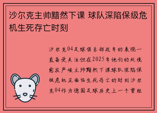 沙尔克主帅黯然下课 球队深陷保级危机生死存亡时刻